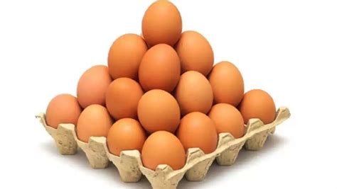 1 kolide kaç yumurta var